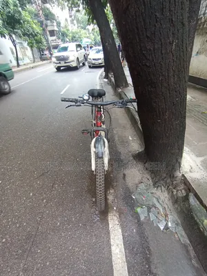 Cycle Lion Focus 26