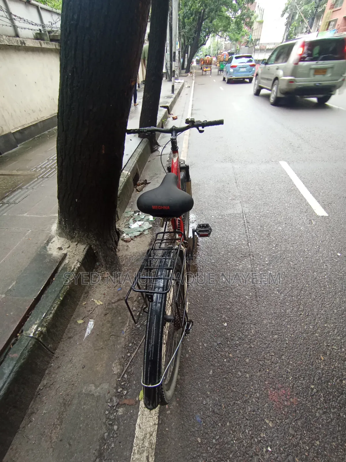Cycle Lion Focus 26