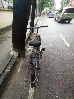 Cycle Lion Focus 26