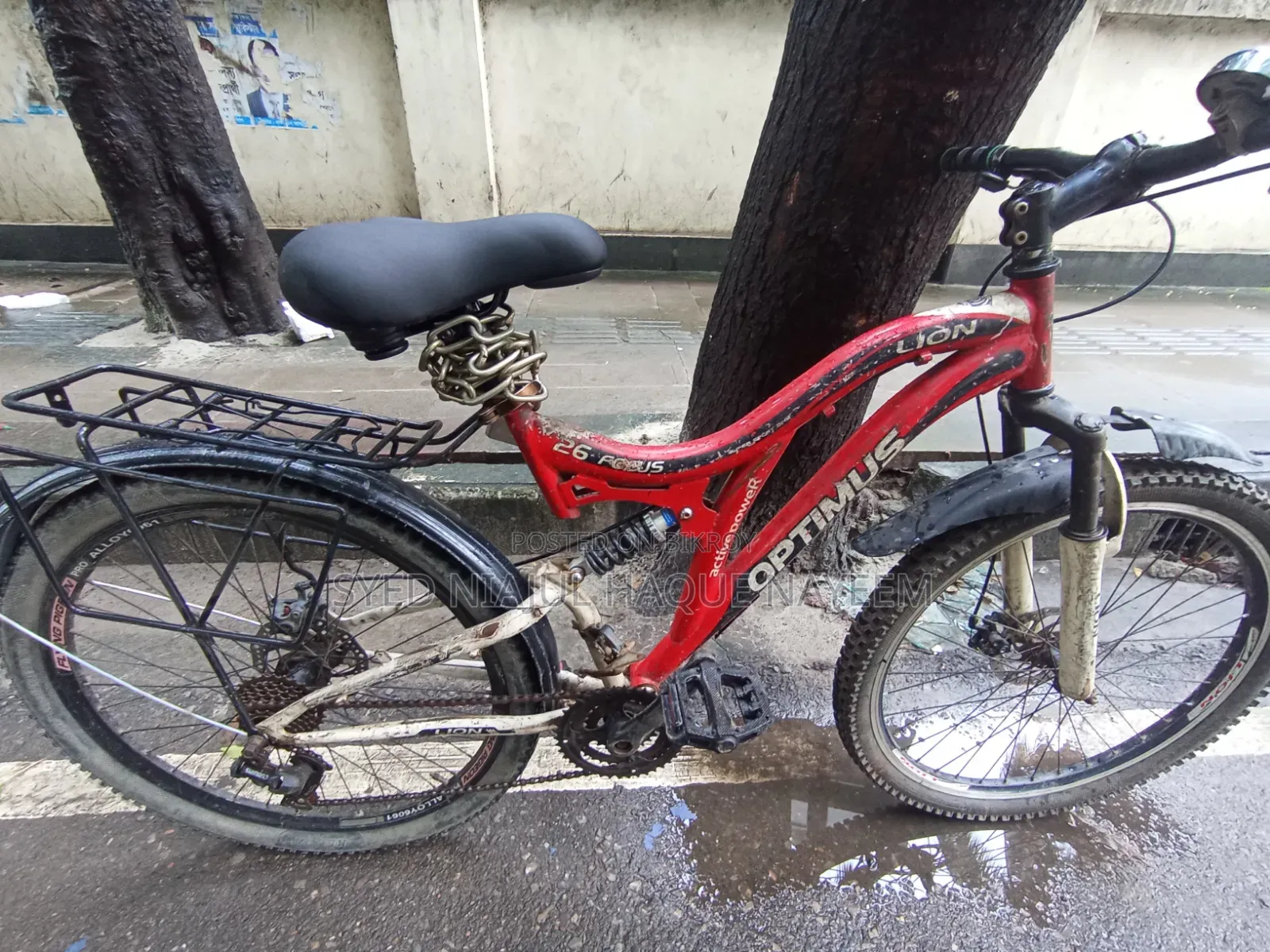 Cycle Lion Focus 26