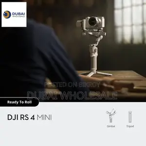 DJI RS 4 Mini Gimbal Stabilizer