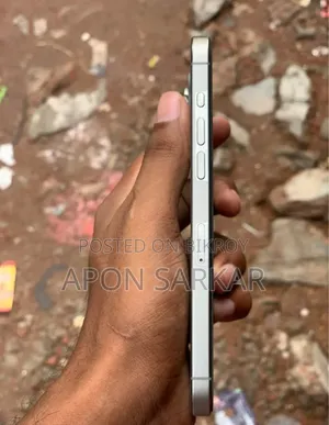 Apple iPhone 15 Pro Max 256 GB Silver