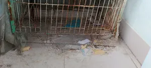 Emergency Sell