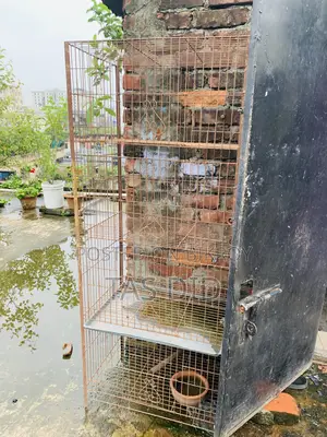 Pigeon Cage