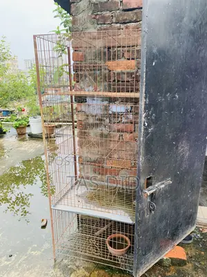 Pigeon Cage