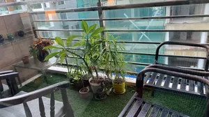 Furnished 3-bedroom Apartment in Navana, Banani for rent