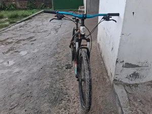 Phonex Tornedo Cycle