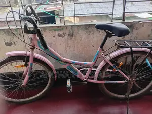 দুরন্ত ২৪ ইঞ্চি পিঙ্ক বাইসাইকেল
