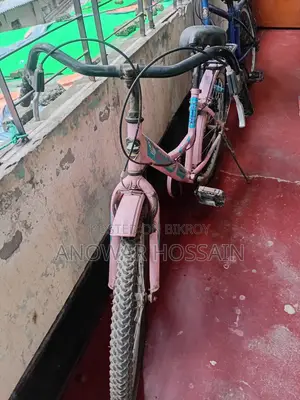 দুরন্ত ২৪ ইঞ্চি পিঙ্ক বাইসাইকেল