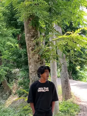 Need an Online and Offline Job