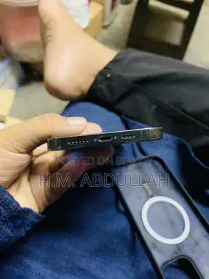 Apple iPhone 13 Pro Max 256 GB