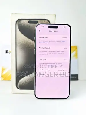 Apple iPhone 15 Pro Max 256 GB Gray