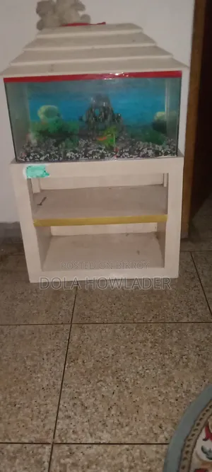 My Furniture, No Problems