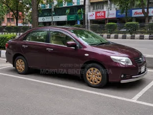 Toyota Axio 2011 Gray