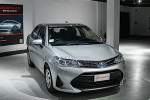 Toyota Axio 2021 Silver