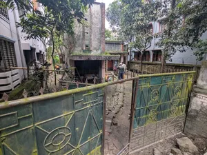 ময়মনসিংহ সানকিপাড়ায় জমি বিক্রি