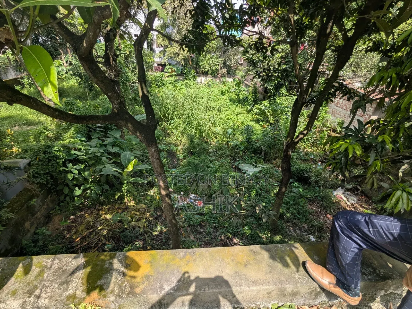 ময়মনসিংহ সানকিপাড়ায় জমি বিক্রি