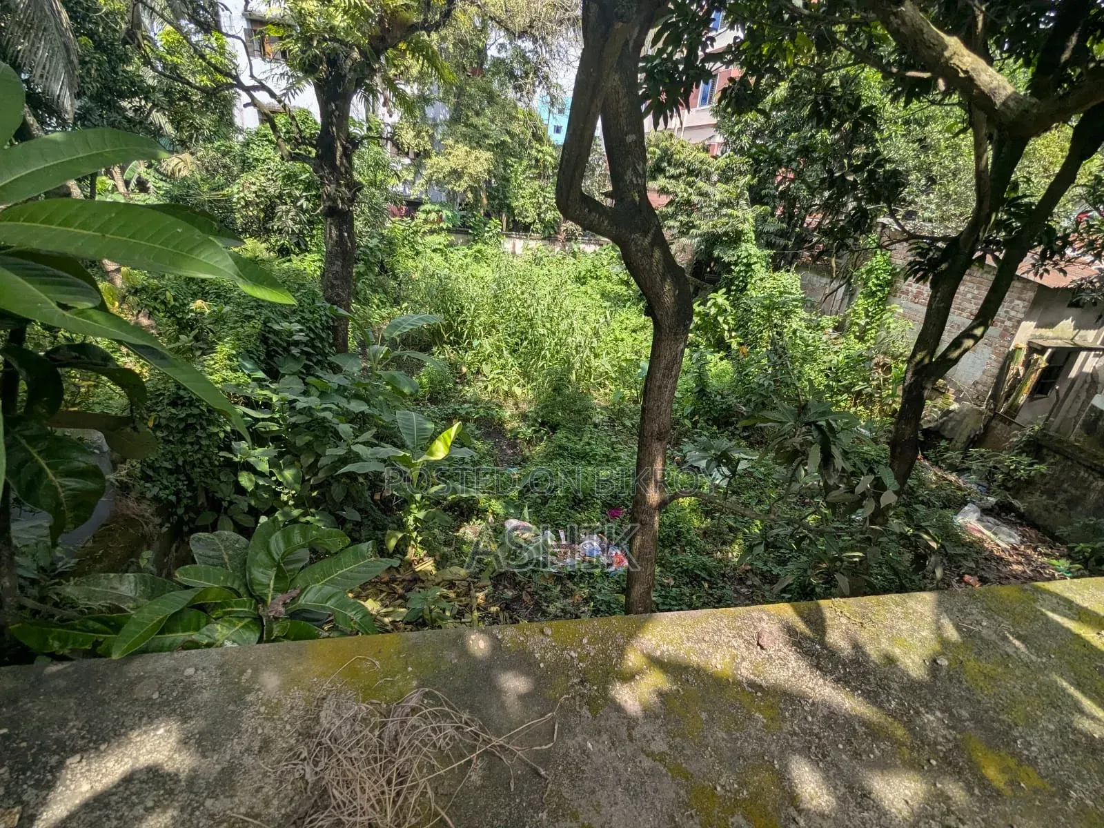 ময়মনসিংহ সানকিপাড়ায় জমি বিক্রি