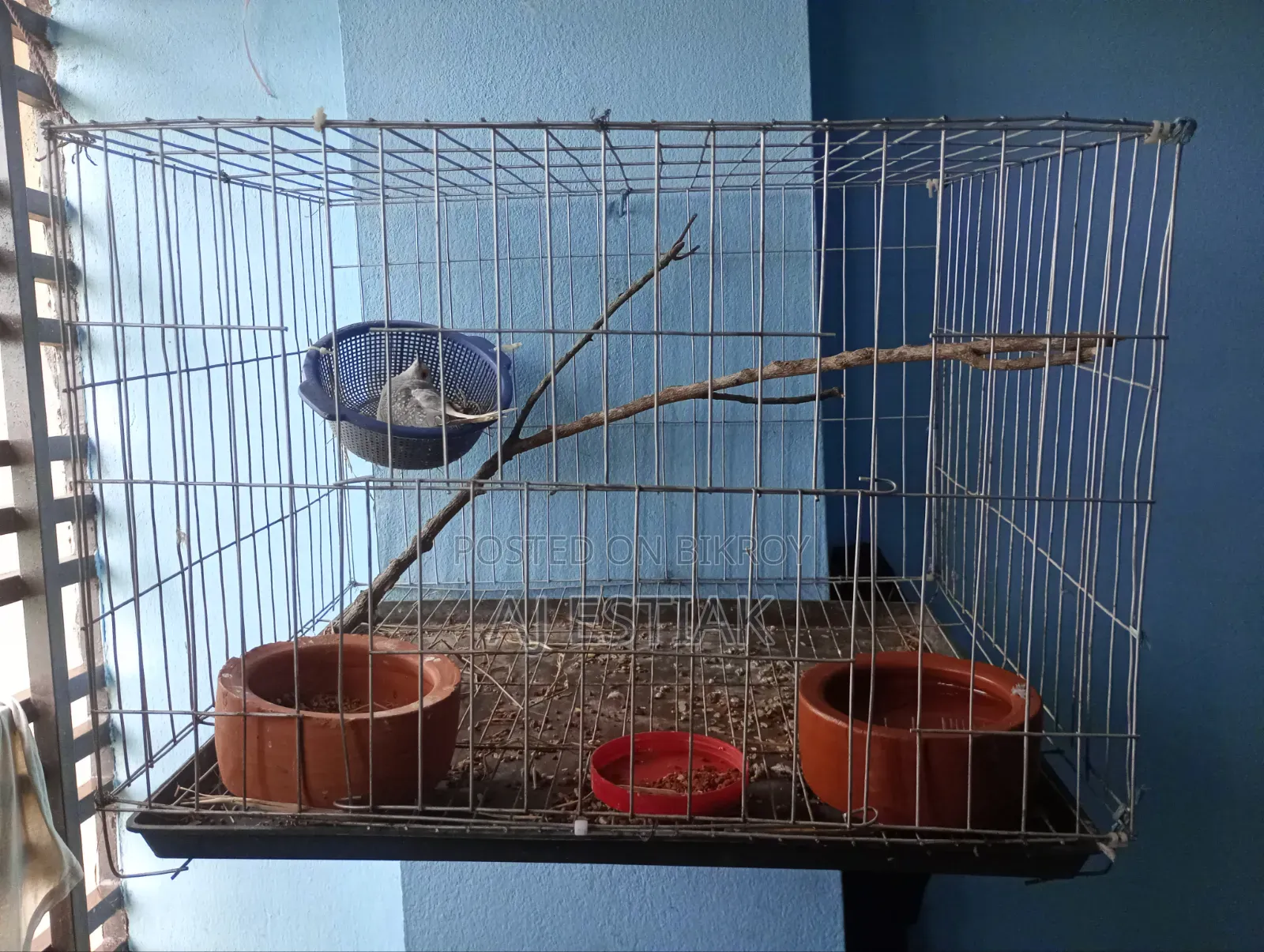 6 Pieces Cage For Sale