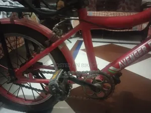 অ্যাভেঞ্জার প্রিমিয়ার সাইকেল