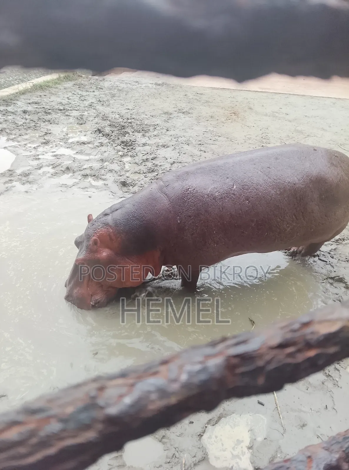 টেকনো স্পার্ক গো ৬৪ জিবি কালো