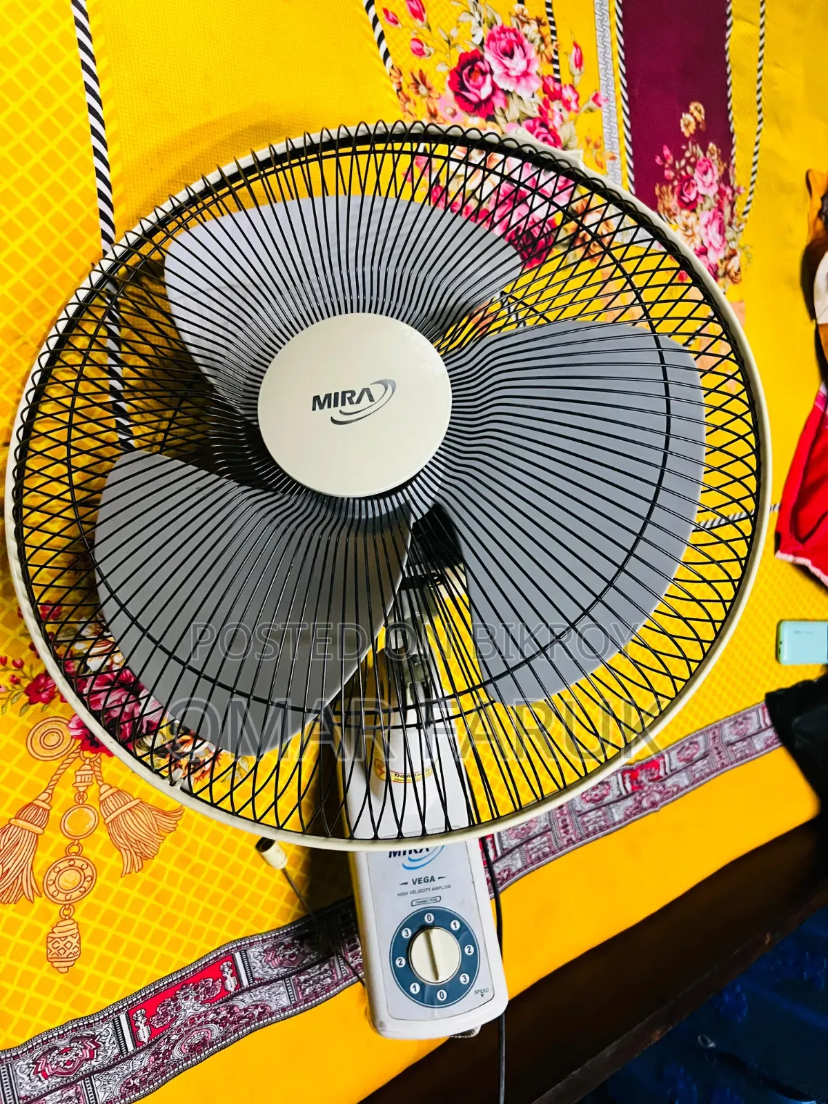 মিরা ফ্যান