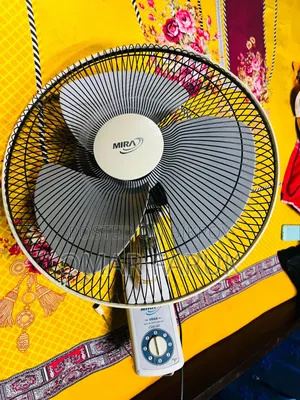 মিরা ফ্যান