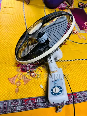 মিরা ফ্যান