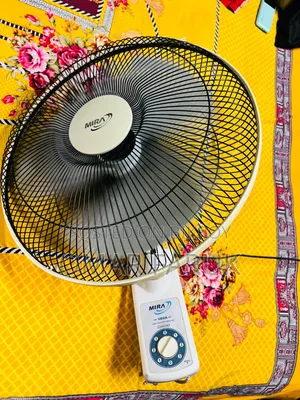 মিরা ফ্যান
