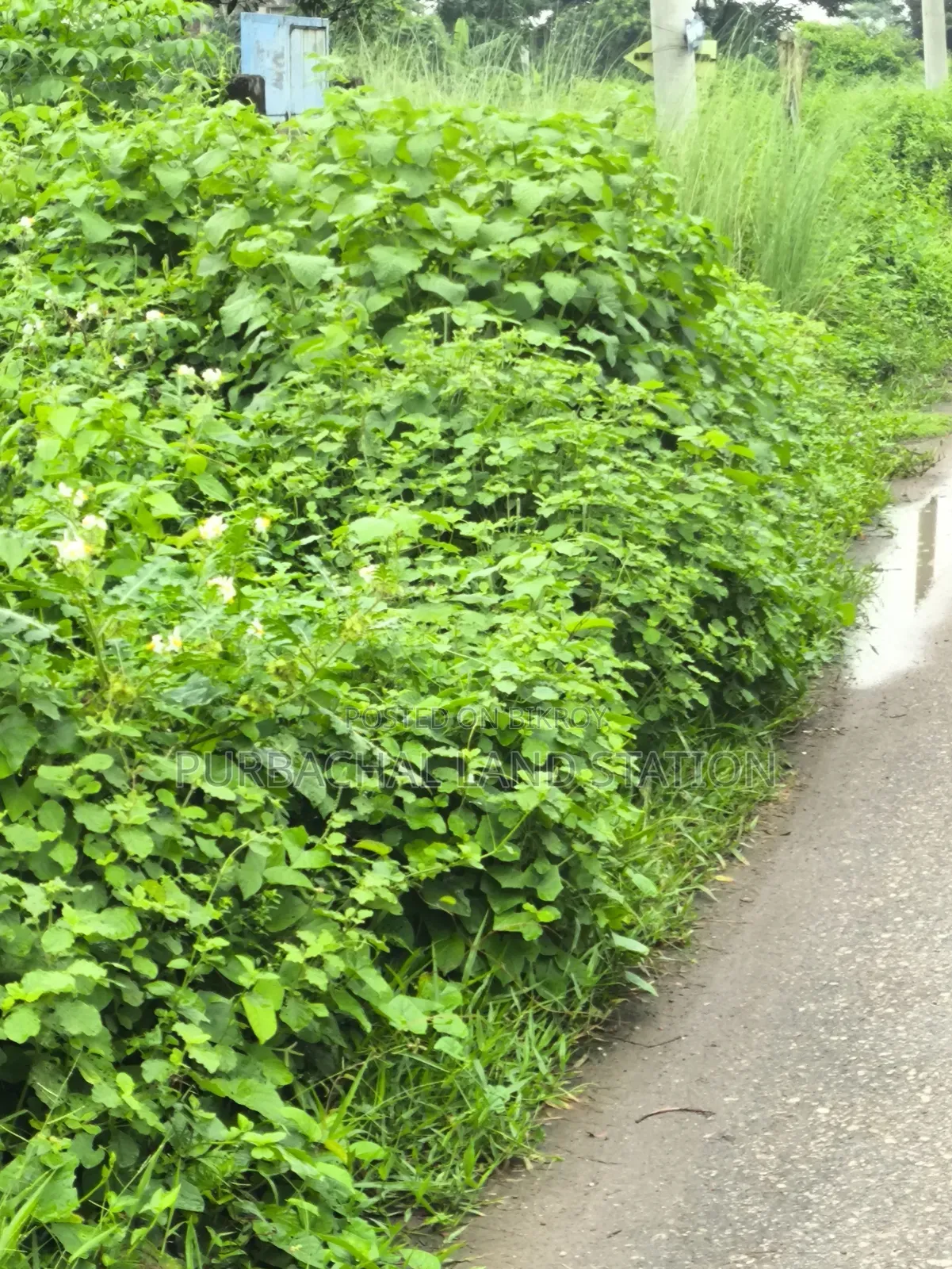 Near Moyzuddin Square East 5 Katha Plot Sale Sector:15,Purbachal.