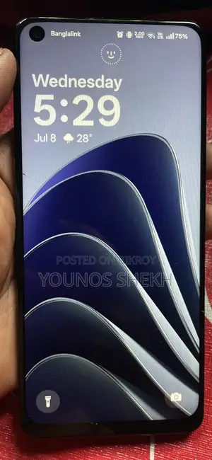 OnePlus 10 Pro 256 GB Gray