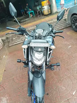 Yamaha FZS V3 2024 Brown