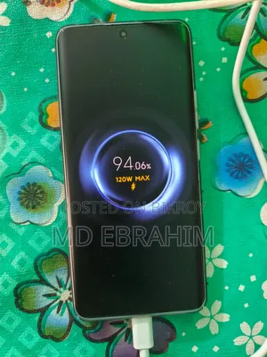 Mi 120w Charger