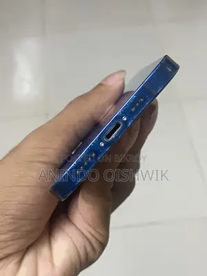 অ্যাপল আইফোন ১২ ১২৮ জিবি ব্লু