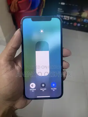 অ্যাপল আইফোন ১২ ১২৮ জিবি ব্লু