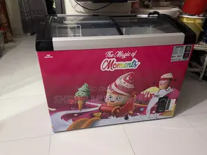 Display Deep Freezer for sale. Looks like new
