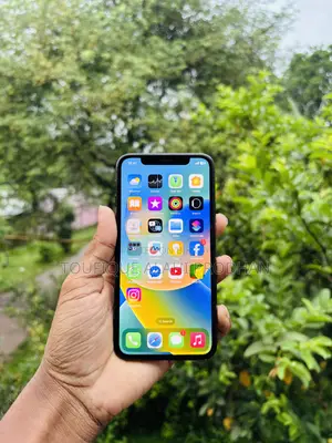 Apple iPhone X 256 GB Blue