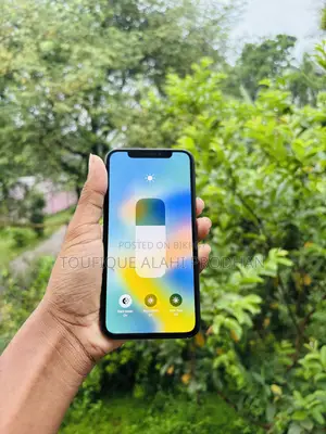 Apple iPhone X 256 GB Blue