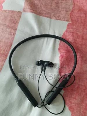 Earphones