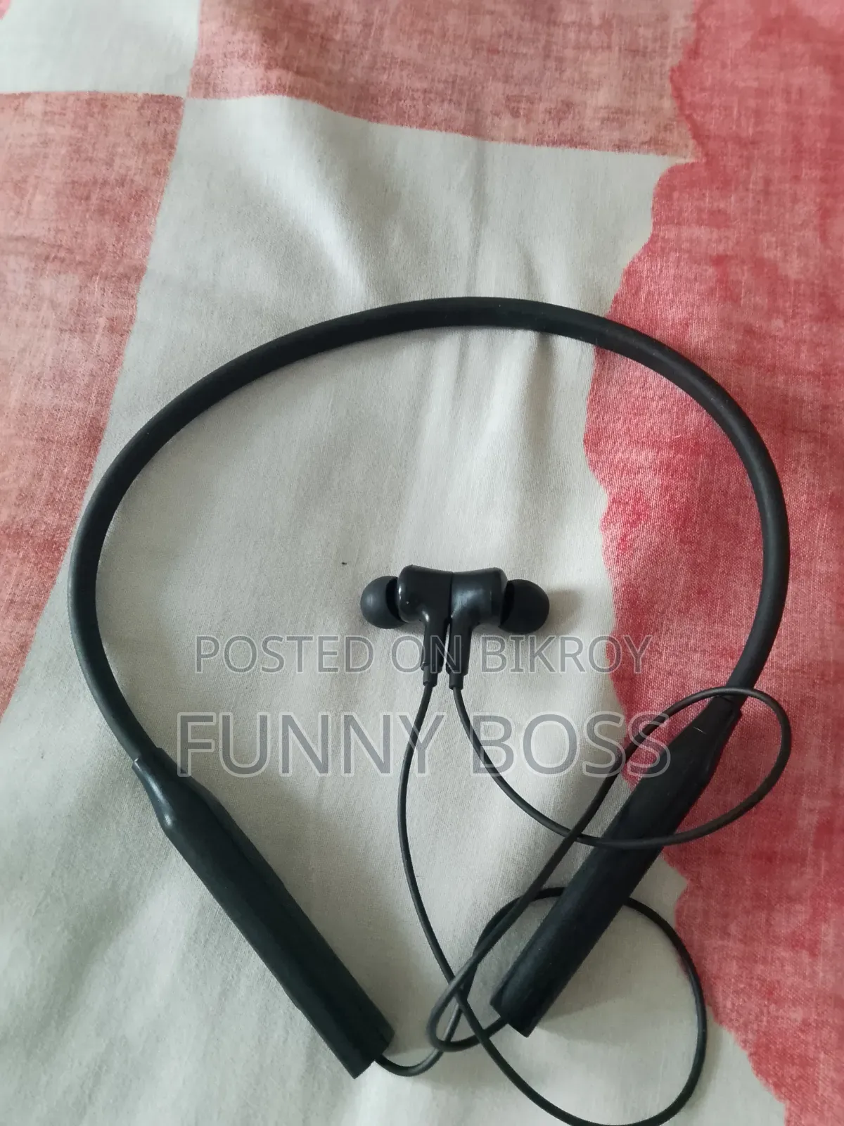 Earphones