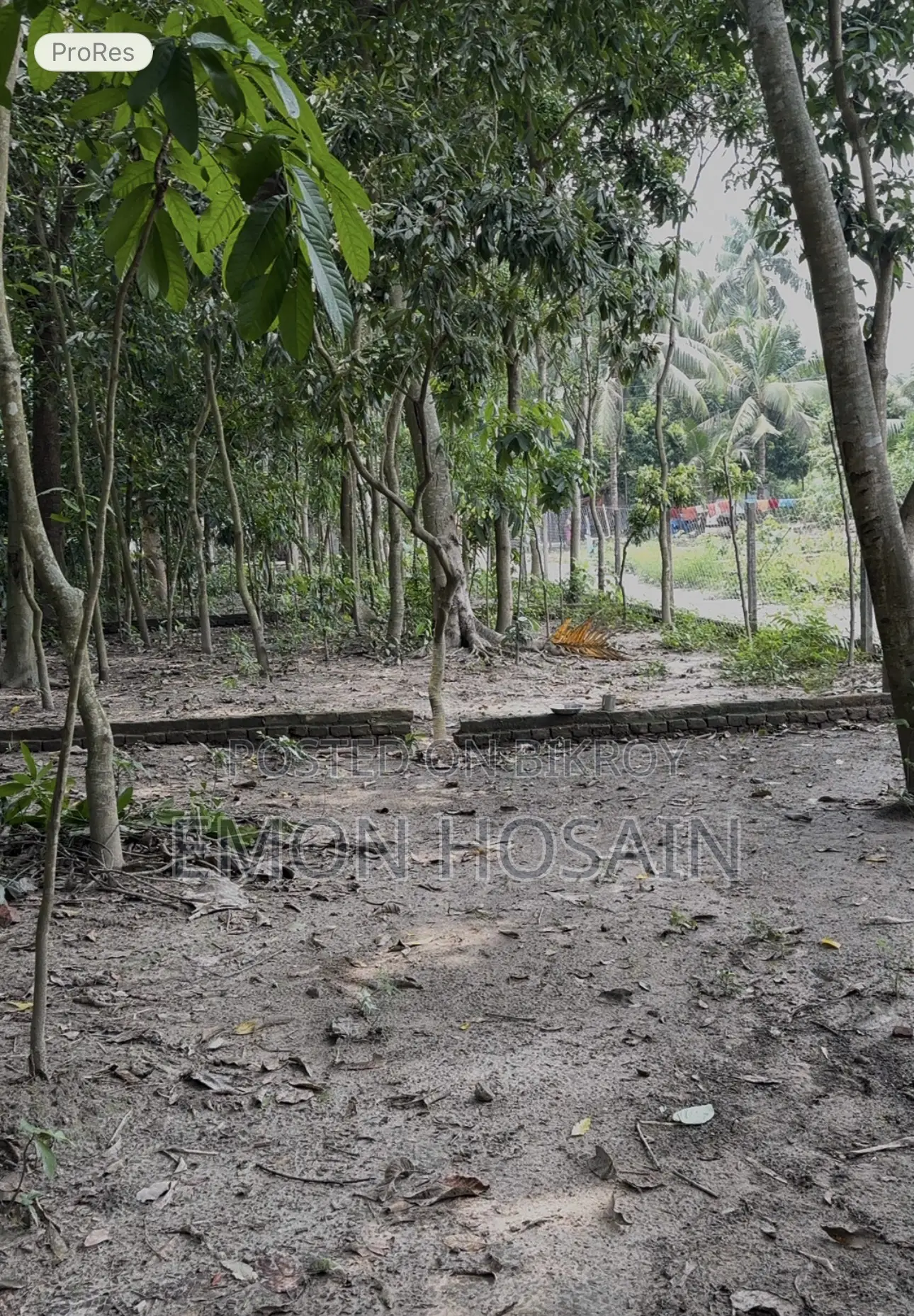 Some plots for sale at Ghurulia Saddam More