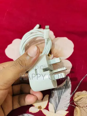 Apple Charger