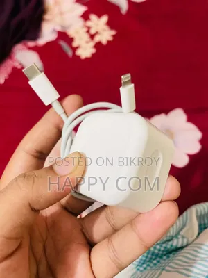 Apple Charger