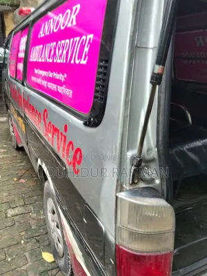 বাস ২০০৪ গ্রে