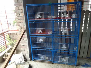 Pigeon and Chicken Cage