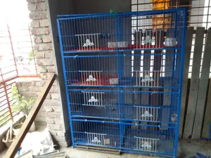 Pigeon and Chicken Cage