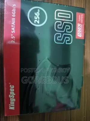 Kingspec Sata SSD ২৫৬জিবি