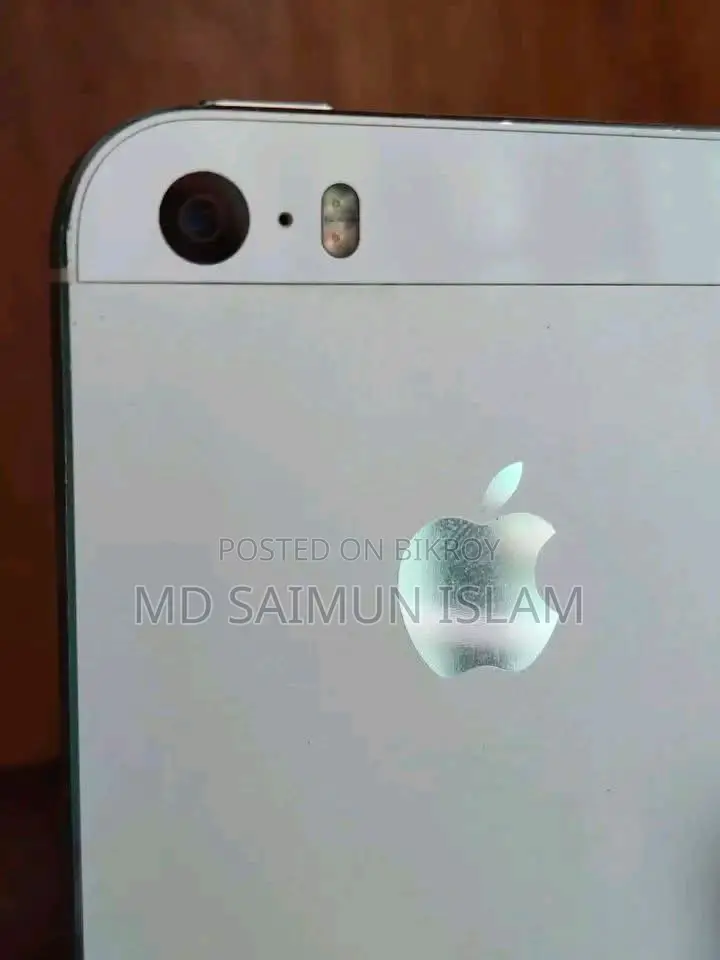 Apple iPhone 5s 64 GB Gray