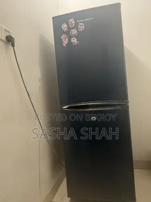 ভালো কন্ডিশনের ডাবল ডোর ফ্রিজ, সুপরিসর এবং যত্নসহকারে ব্যবহৃত