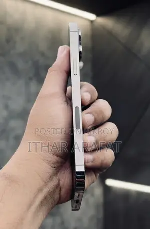 অ্যাপল আইফোন ১২ প্রো ম্যাক্স ২৫৬ জিবি গ্রে